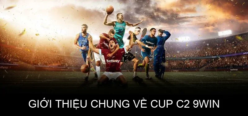 Giới thiệu chung về Cup C2 9win