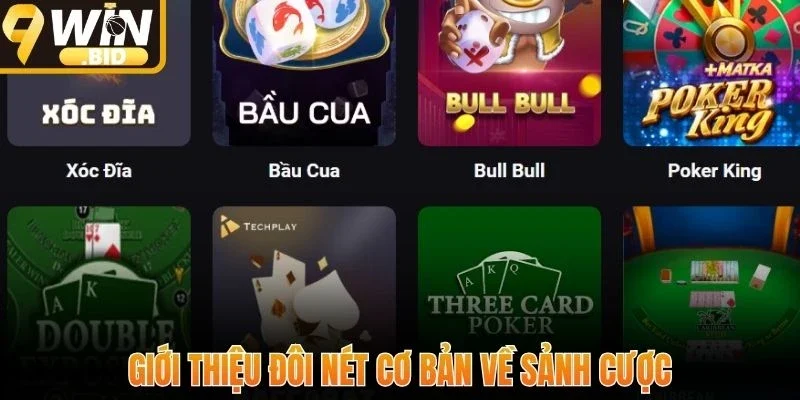 Giới thiệu đôi nét cơ bản về sảnh cược