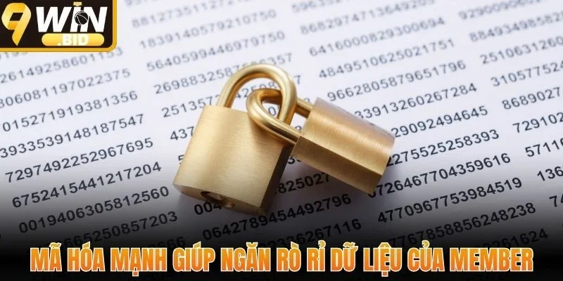 Mã hóa mạnh giúp ngăn rò rỉ dữ liệu của member